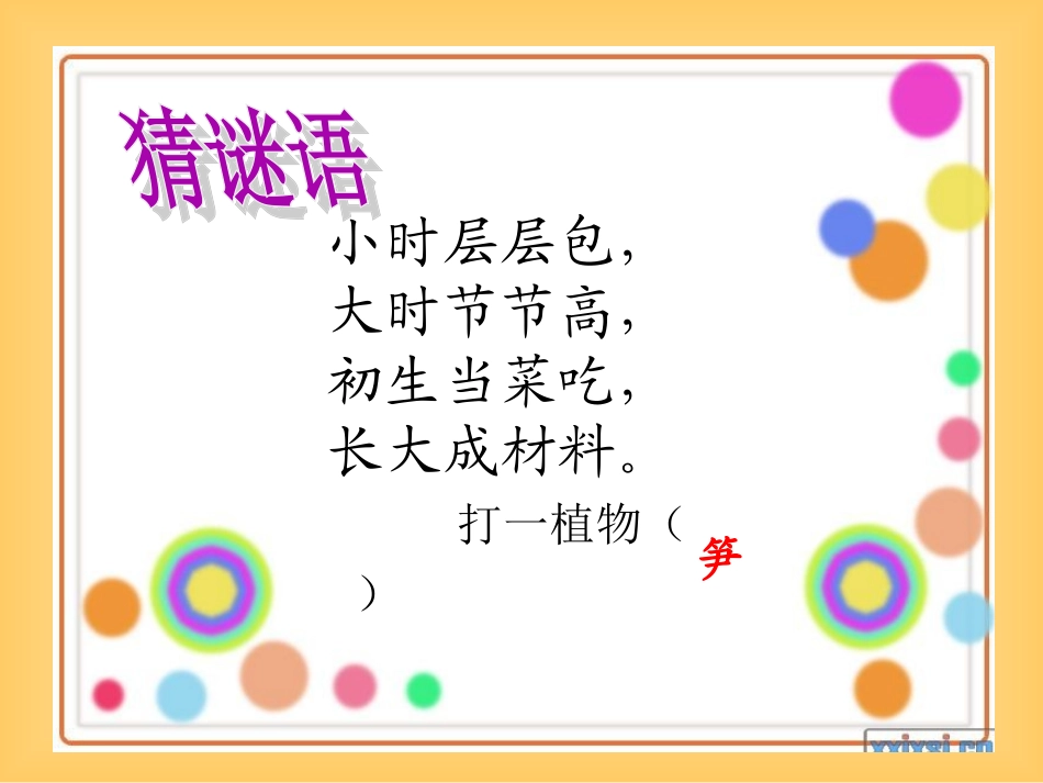 笋芽儿PPT课件_第2页