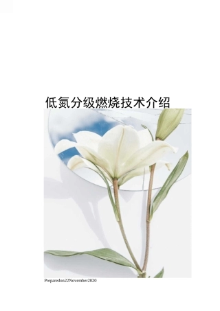 低氮分级燃烧技术介绍
