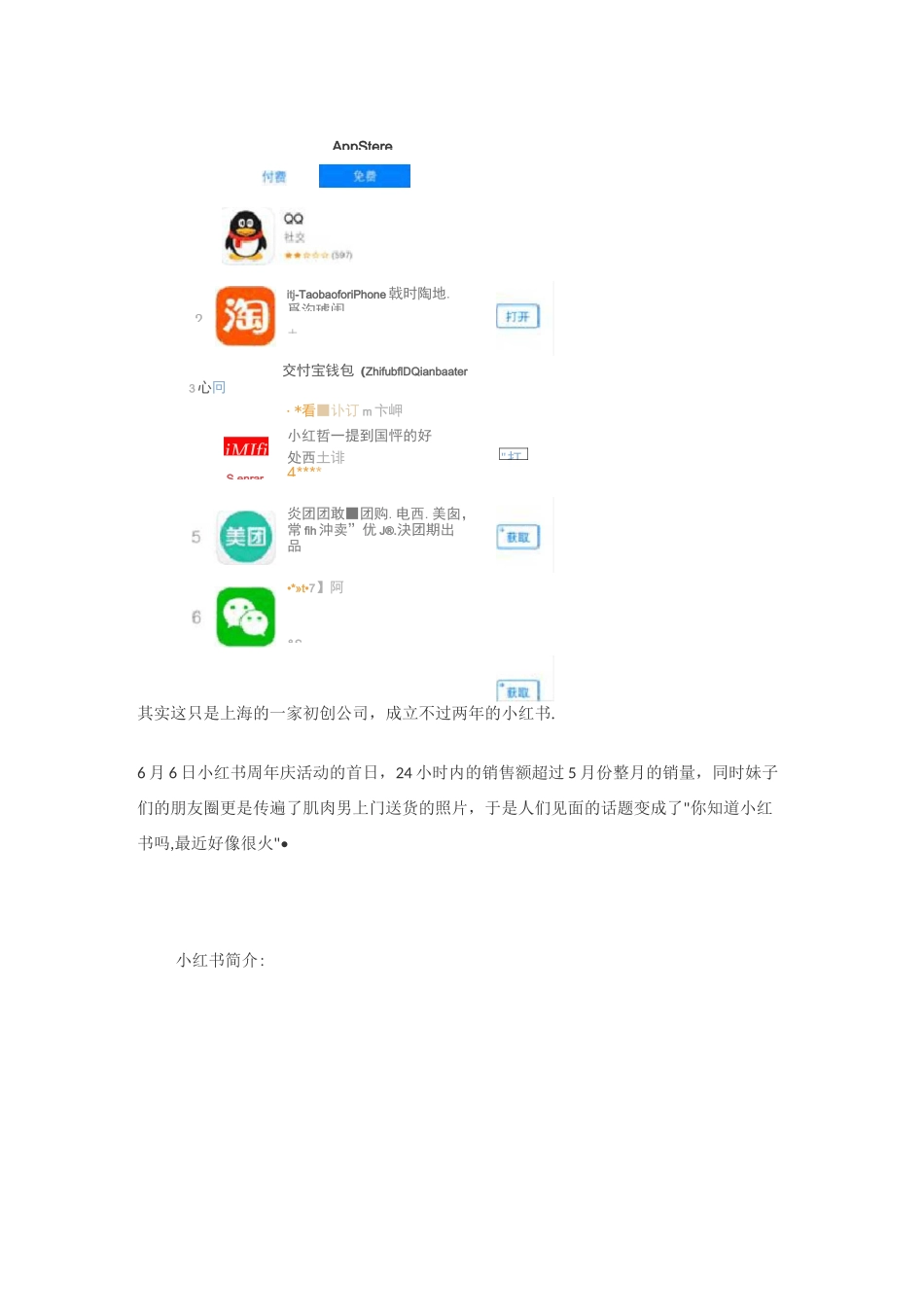 小红书网络营销策略【范本模板】_第2页