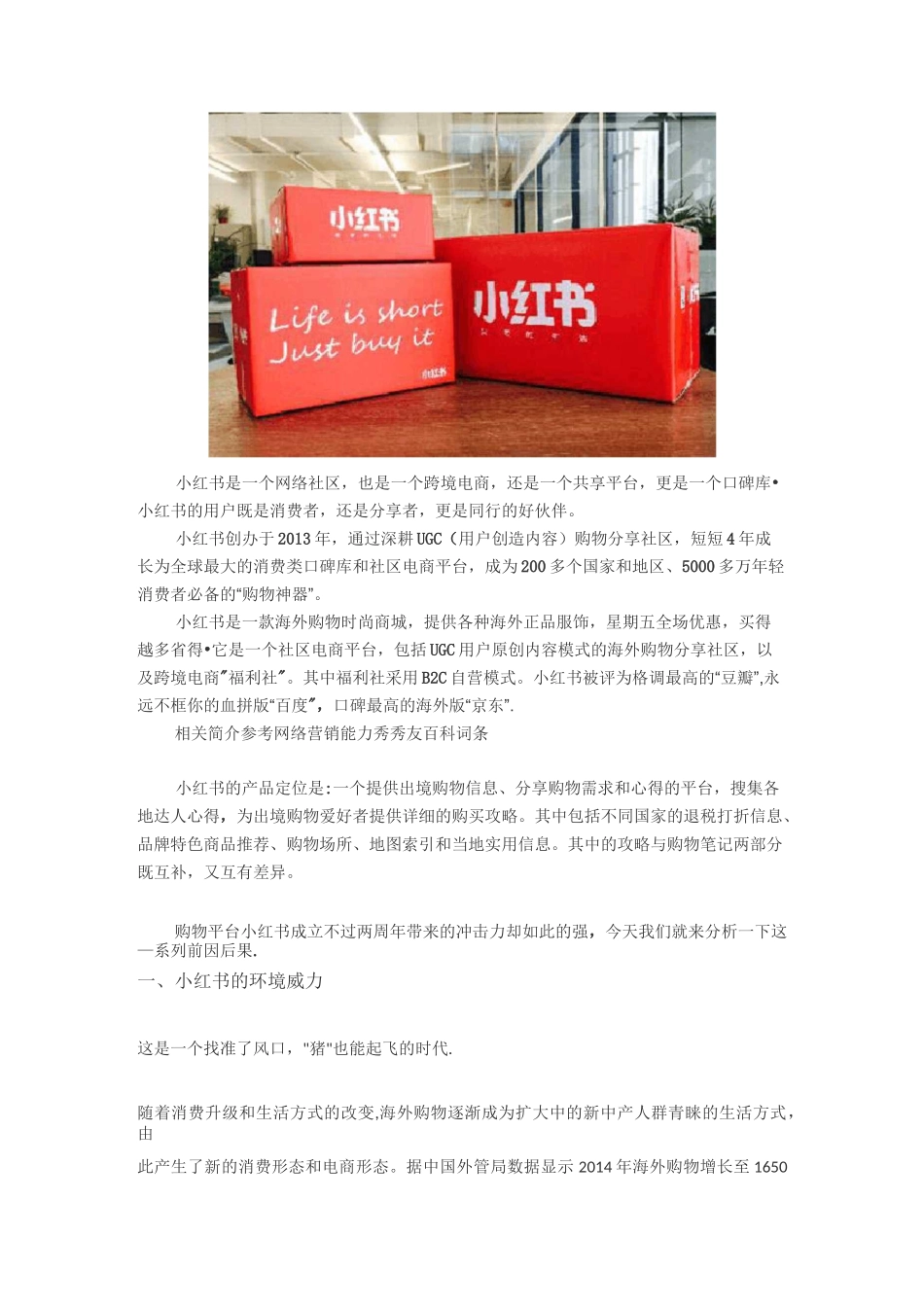 小红书网络营销策略【范本模板】_第3页