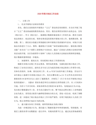 2020年统计执法工作总结 