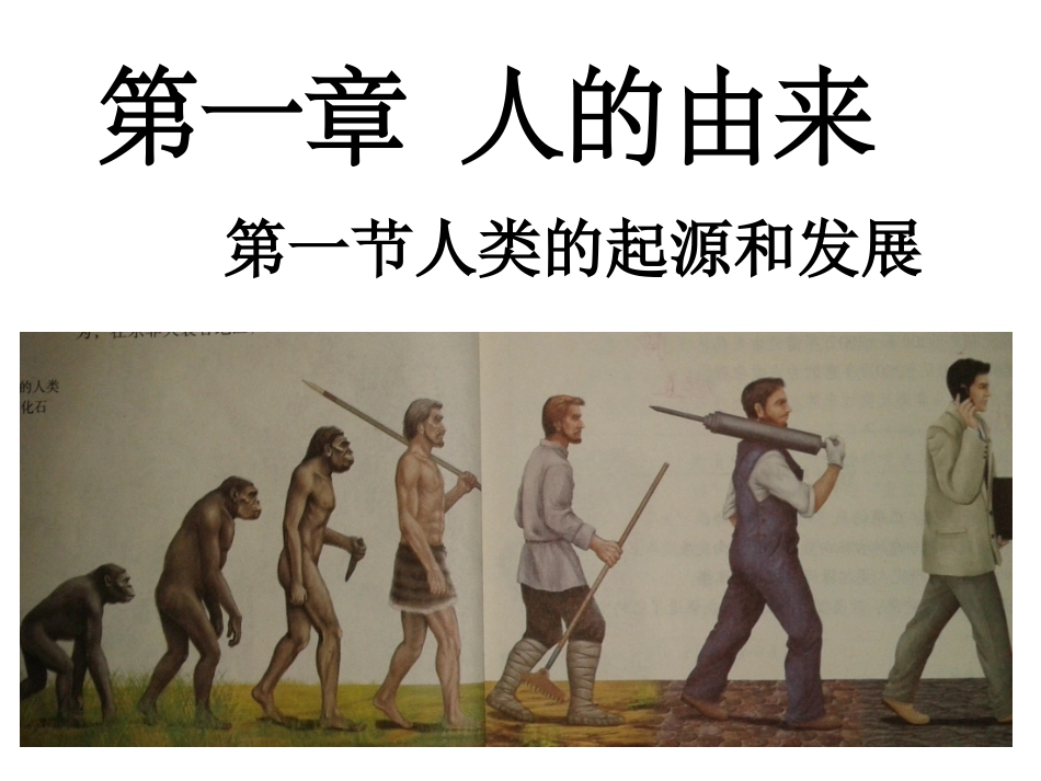 第一节人类的起源和发展_第1页