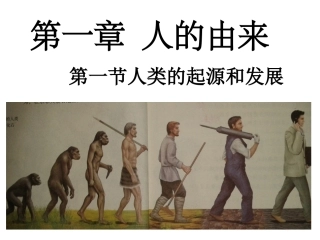 第一节人类的起源和发展
