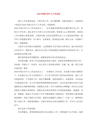 2020年统计局个人工作总结 