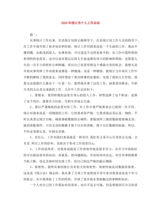 2020年统计员个人工作总结 