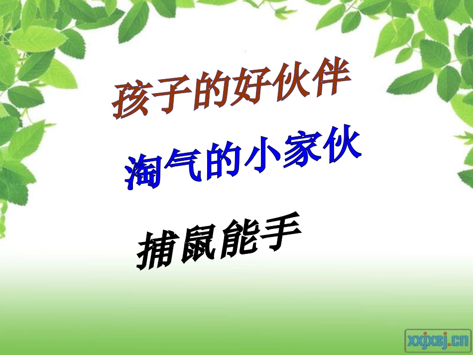 〈归纳法写人〉习作课件_第2页