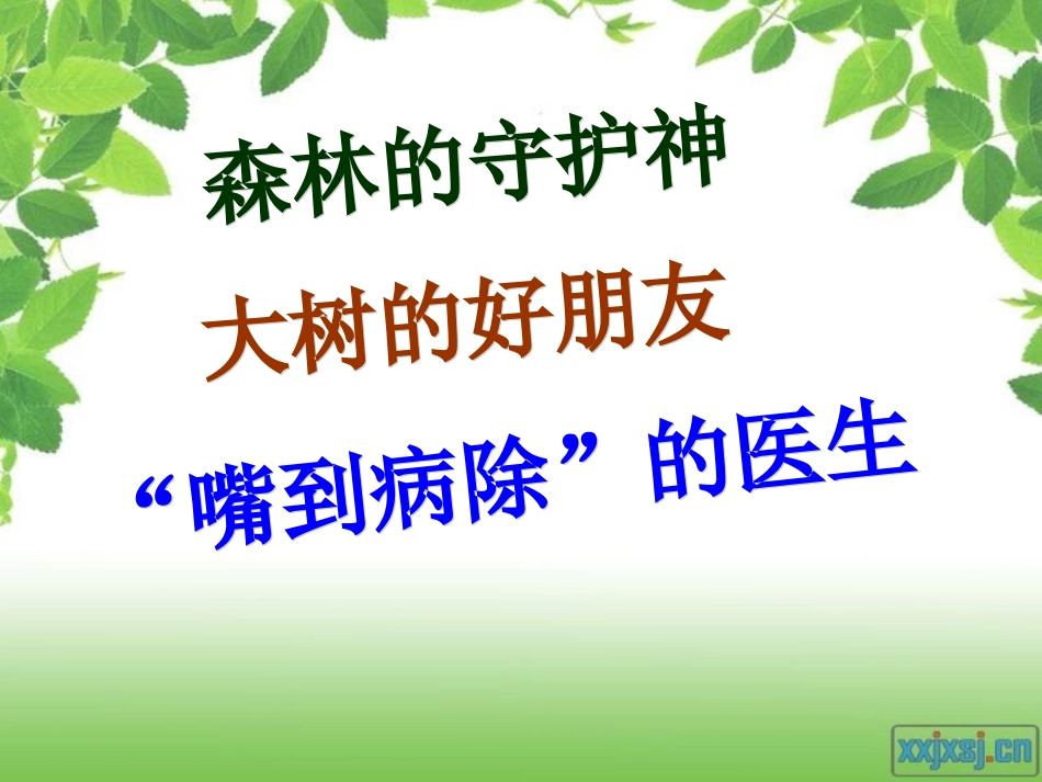 〈归纳法写人〉习作课件_第3页