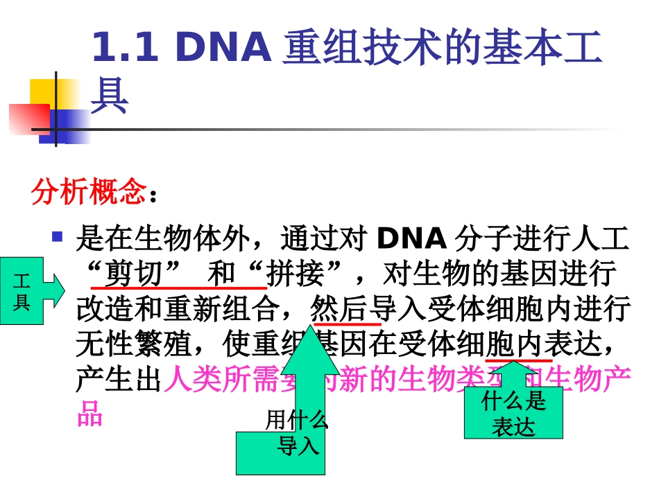 生物：专题1《基因工程》课件(新人教版选修3)2_第2页