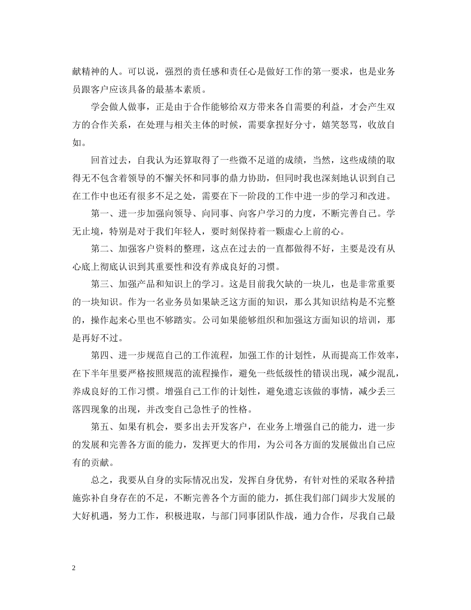 业务员半年度工作总结_第2页