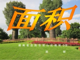 三年级下册面积