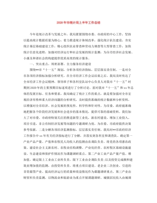 2020年市统计局上半年工作总结