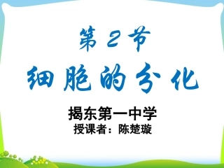 细胞分化课件