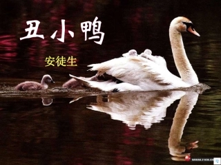 丑小鸭 (2)