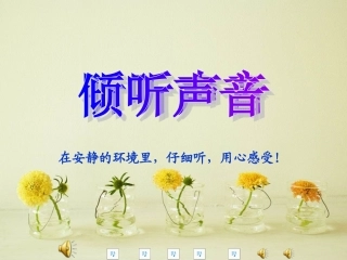 听听声音课件