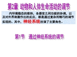 2015高中生物211通过神经系统的调节课件新人教版必修3