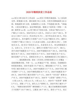 2020年精准扶贫工作总结 