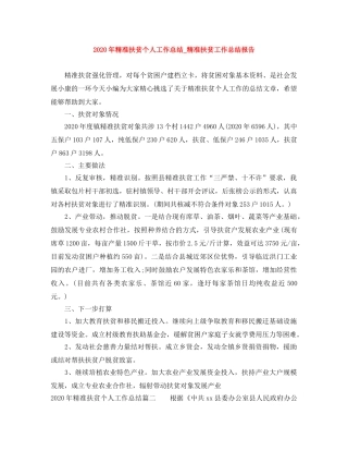 2020年精准扶贫个人工作总结_精准扶贫工作总结报告 