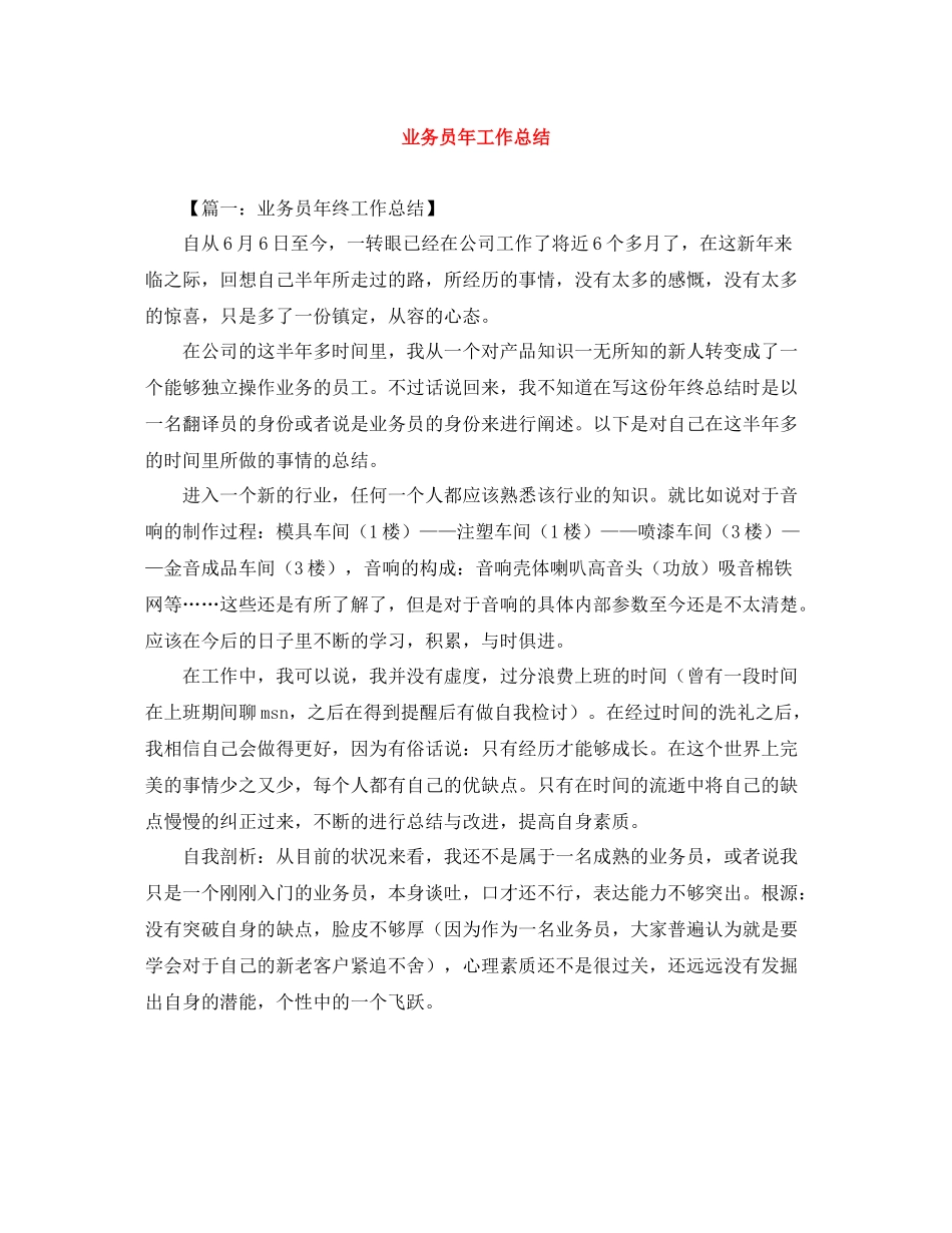 业务员年工作总结2_第1页