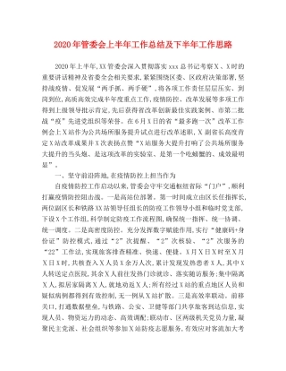 2020年管委会上半年工作总结及下半年工作思路 