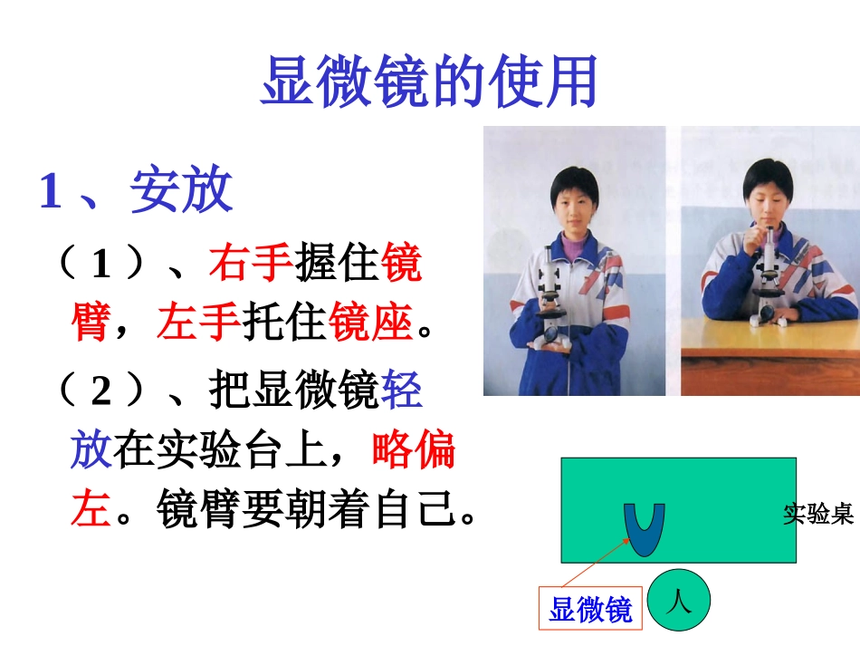 显微镜的使用_第2页