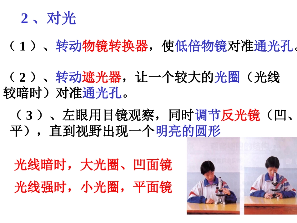 显微镜的使用_第3页