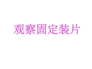 显微镜的使用