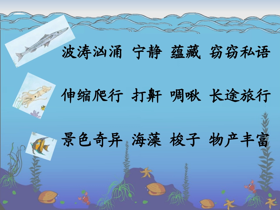 《海底世界》课件_第2页