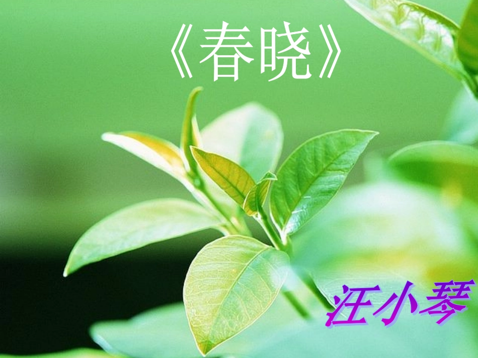 春晓_音乐教学_第1页