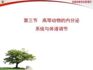 第三节高等动物的内分泌系统与体液调节