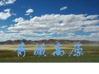 海拔最高的牧区