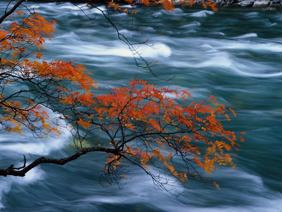 答谢中书书(上课用)_第3页