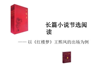 长篇小说节选阅读+马操新建MicrosoftPowerPoint演示文稿