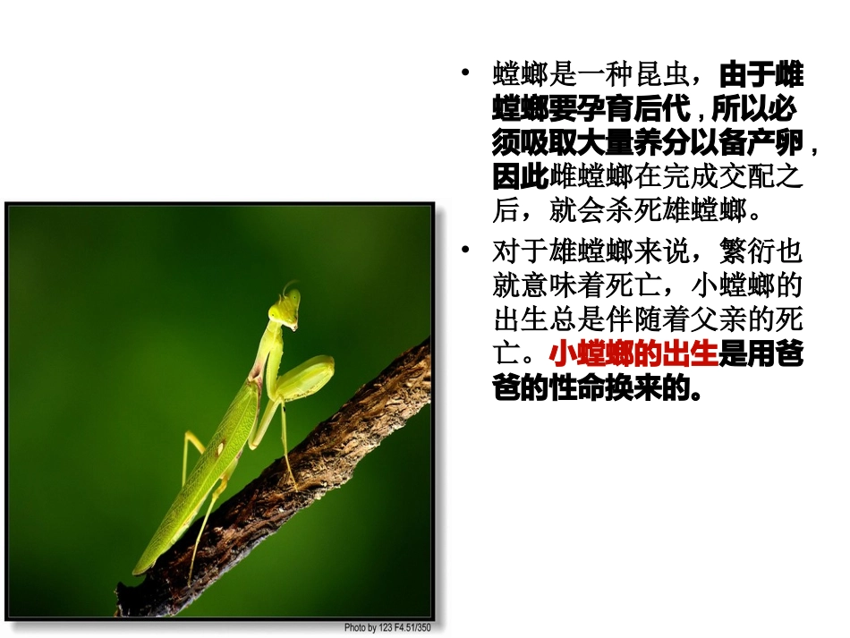 “珍爱自我_快乐成长”主题班会（共38张PPT）_第3页
