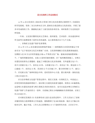 县文化馆终工作总结格式
