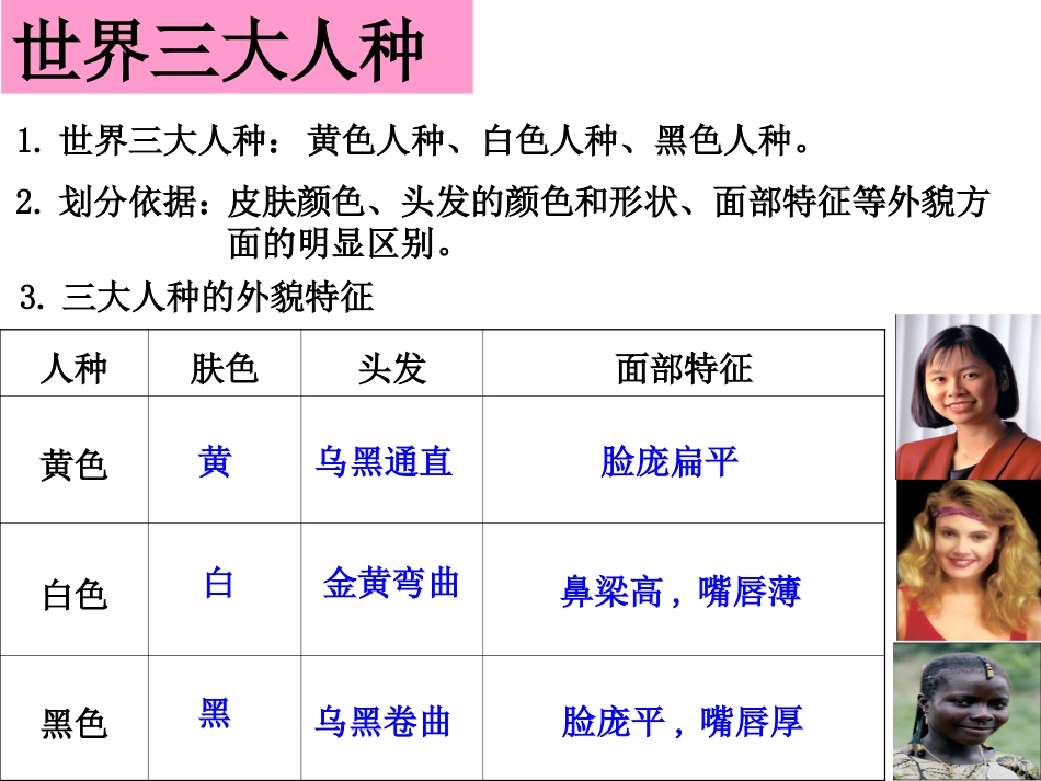 考点3知道世界三大人种、主要语言、三大宗教的概况（a）（复习课件）_第2页
