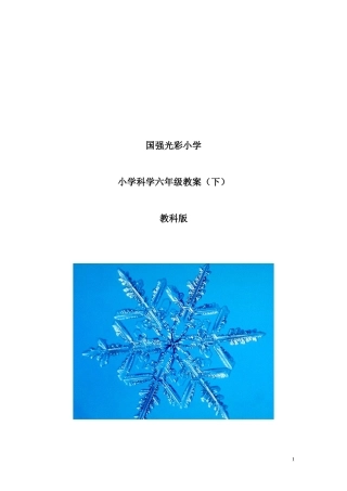 小学《科学》[教科版]六下全册教案