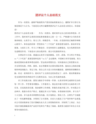 团评议个人总结范文