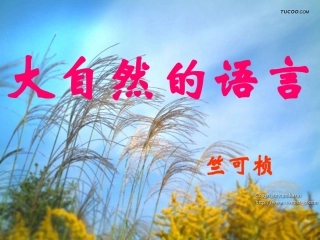 【精品课件】第四单元第十六课《大自然的语言》