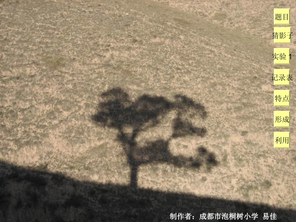 阳光下的影子_第1页