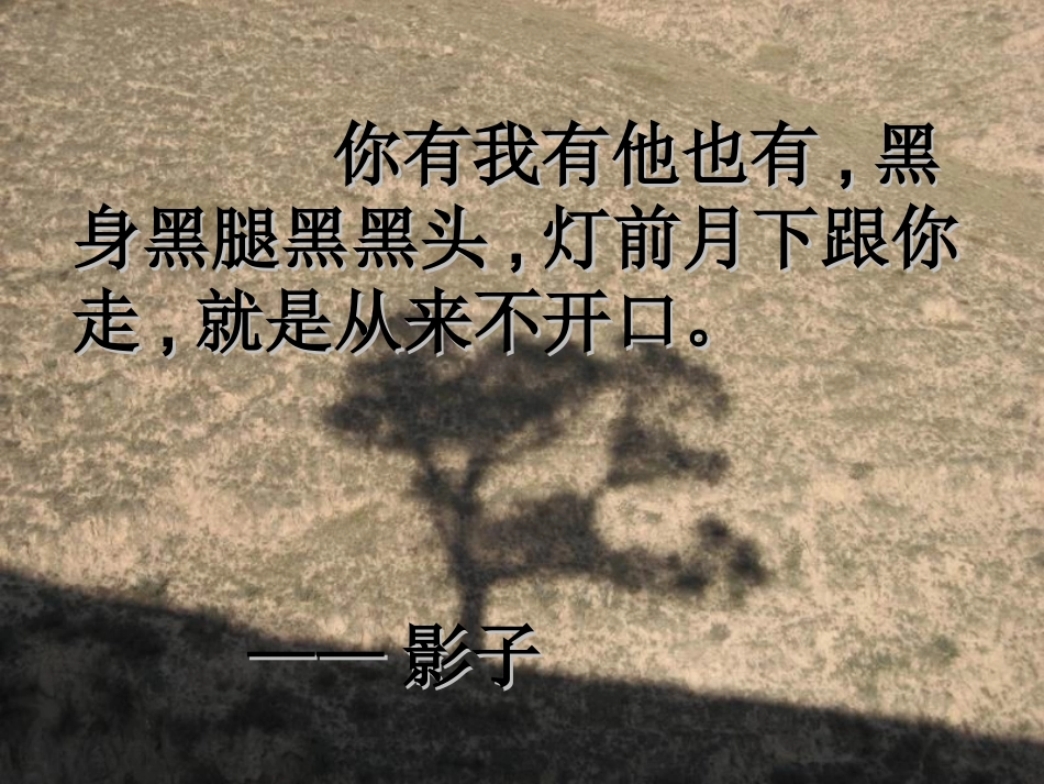 阳光下的影子_第3页