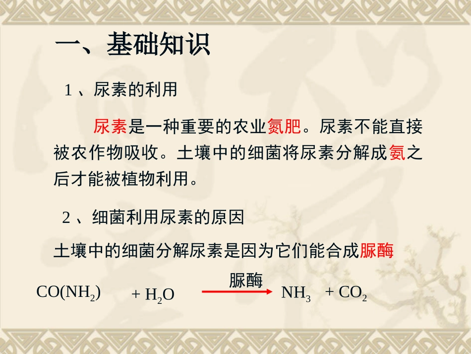 分离以尿素为氮源的微生物_第3页