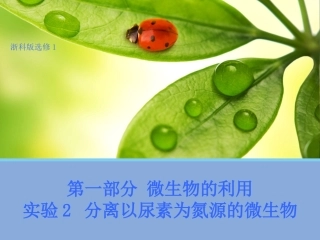 分离以尿素为氮源的微生物
