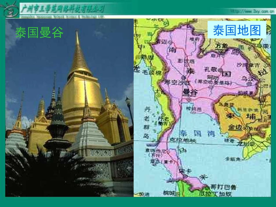 (上课）《与象共舞》课件_第1页