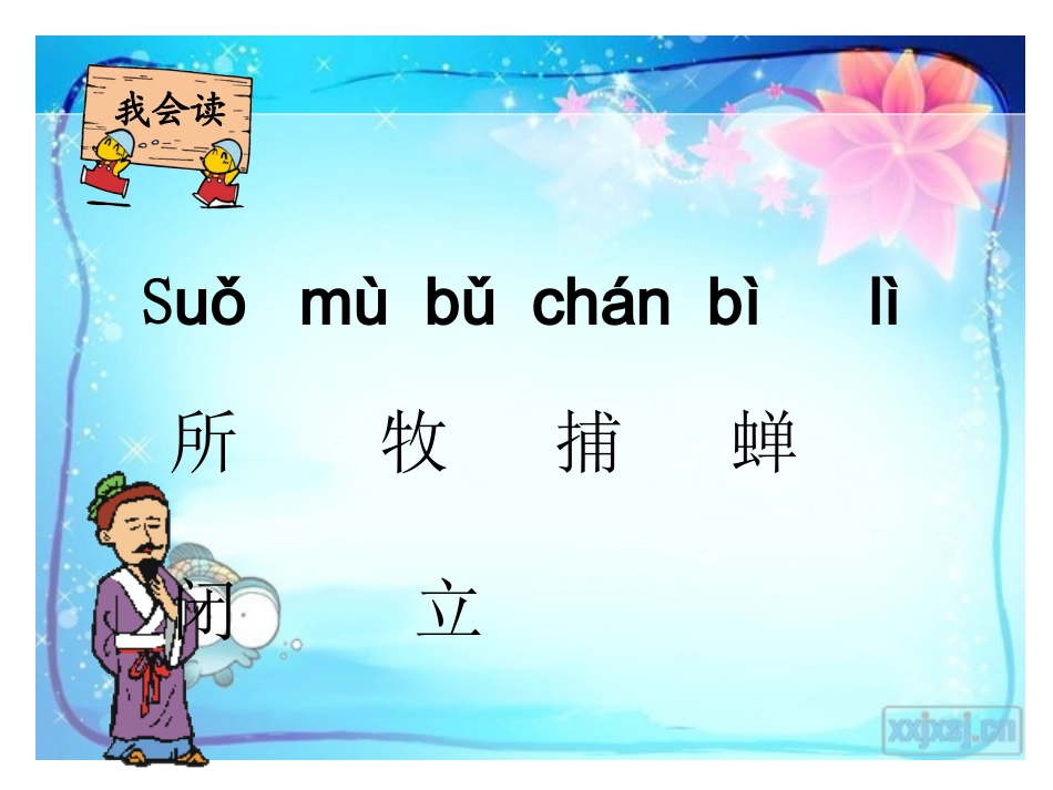 古诗两首(所见小池)课件_第3页