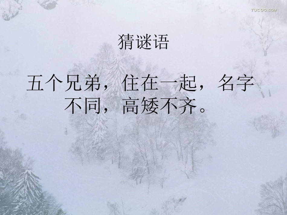 山谷中的谜底_第1页