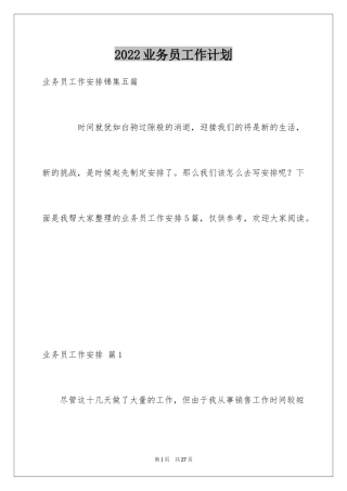 2024业务员工作计划_31