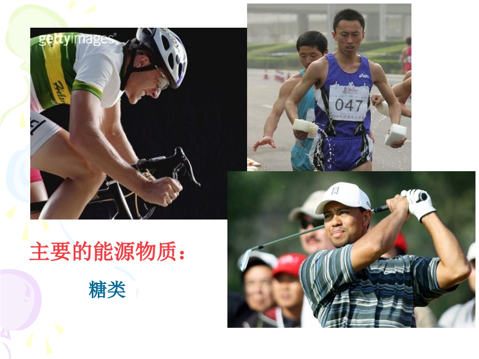 降低化学反应活化能的酶何亚丹_第1页
