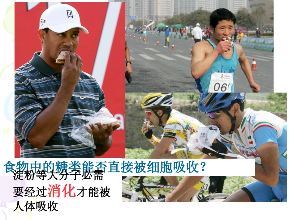 降低化学反应活化能的酶何亚丹_第2页