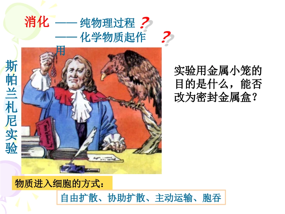 降低化学反应活化能的酶何亚丹_第3页