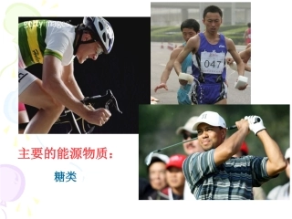 降低化学反应活化能的酶何亚丹